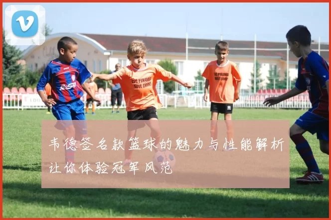 韦德签名款篮球的魅力与性能解析让你体验冠军风范